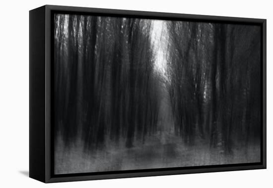 Creaking Darkness-Jacob Berghoef-Framed Premier Image Canvas