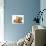 Cream Kitten with Cream Dapple Dachshund Puppy-Jane Burton-Photographic Print displayed on a wall