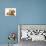 Cream Kitten with Cream Dapple Dachshund Puppy-Jane Burton-Photographic Print displayed on a wall