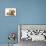 Cream Kitten with Cream Dapple Dachshund Puppy-Jane Burton-Mounted Photographic Print displayed on a wall