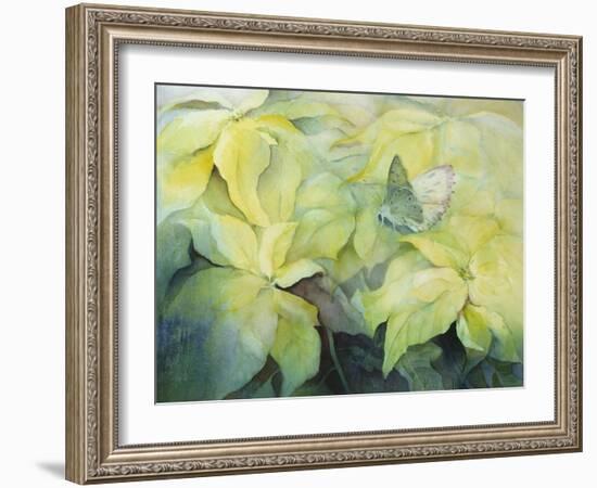 Cream Poinsettia with butterfly-Karen Armitage-Framed Giclee Print