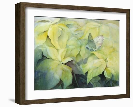 Cream Poinsettia with butterfly-Karen Armitage-Framed Giclee Print