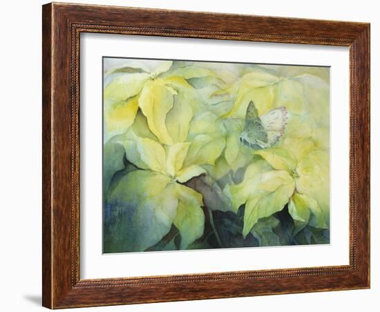 Cream Poinsettia with butterfly-Karen Armitage-Framed Giclee Print