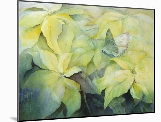 Cream Poinsettia with butterfly-Karen Armitage-Mounted Giclee Print