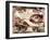 Creation of Adam, 1508-1512-Michelangelo Buonarroti-Framed Giclee Print