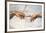 Creation of Adam Detail Hands-Michelangelo Buonarroti-Framed Art Print