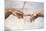 Creation of Adam Detail Hands-Michelangelo Buonarroti-Mounted Art Print