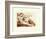 Creation of Adam (detail)-Michelangelo Buonarroti-Framed Art Print