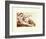 Creation of Adam (detail)-Michelangelo Buonarroti-Framed Art Print