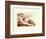 Creation of Adam (detail)-Michelangelo Buonarroti-Framed Art Print