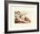 Creation of Adam (detail)-Michelangelo Buonarroti-Framed Art Print