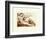 Creation of Adam (detail)-Michelangelo Buonarroti-Framed Art Print