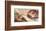 Creation of Adam-Michelangelo Buonarroti-Framed Premium Giclee Print