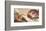 Creation of Adam-Michelangelo Buonarroti-Framed Premium Giclee Print