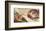 Creation of Adam-Michelangelo Buonarroti-Framed Premium Giclee Print