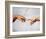 Creation of Adam-Michelangelo Buonarroti-Framed Art Print