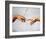 Creation of Adam-Michelangelo Buonarroti-Framed Art Print