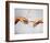 Creation of Adam-Michelangelo Buonarroti-Framed Art Print