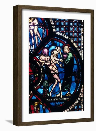 Creation of Eve, Stained Glass, Chartres Cathedral, France, 1205-1215-null-Framed Photographic Print