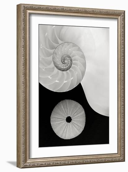 Creations Curves-Doug Chinnery-Framed Photographic Print