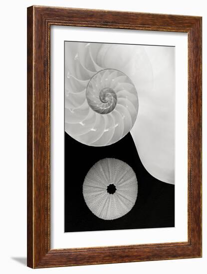 Creations Curves-Doug Chinnery-Framed Photographic Print