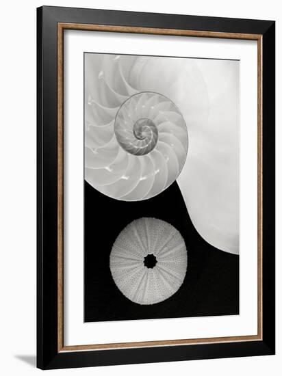 Creations Curves-Doug Chinnery-Framed Photographic Print