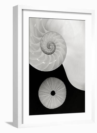 Creations Curves-Doug Chinnery-Framed Photographic Print