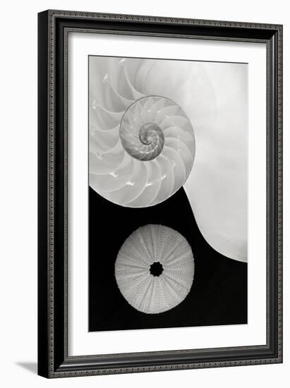 Creations Curves-Doug Chinnery-Framed Photographic Print