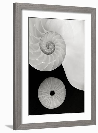 Creations Curves-Doug Chinnery-Framed Photographic Print