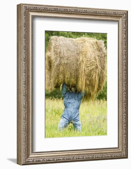 Creative Hay Bale Art Near Bottineau, North Dakota, USA-Chuck Haney-Framed Photographic Print