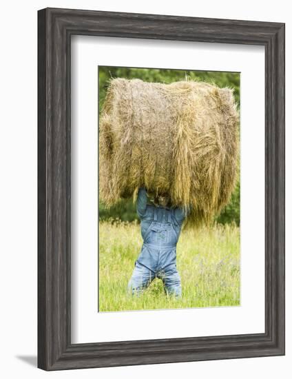 Creative Hay Bale Art Near Bottineau, North Dakota, USA-Chuck Haney-Framed Photographic Print