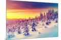 Photographic Print