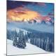 Premium Photographic Print