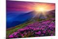 Photographic Print