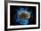 Creativity, Conceptual Artwork-Victor De Schwanberg-Framed Photographic Print