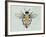 Creature Cartography I-The Vintage Collection-Framed Giclee Print