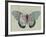 Creature Cartography IV-The Vintage Collection-Framed Giclee Print