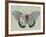 Creature Cartography IV-The Vintage Collection-Framed Giclee Print