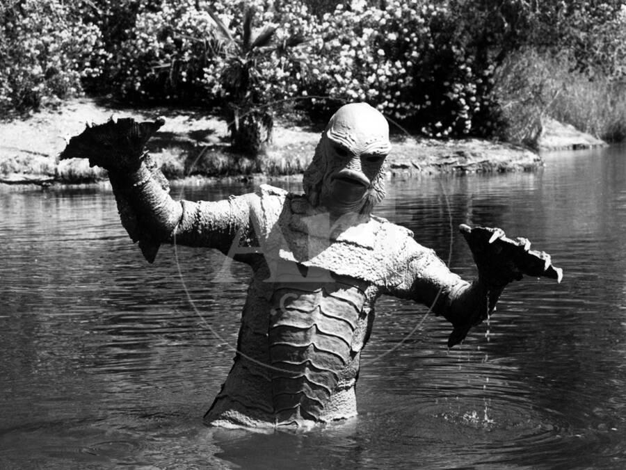 Creature From The Black Lagoon 1954 Photo Art Com
