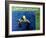 Creature from the Black Lagoon, 1954-null-Framed Photo