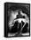 Creature from the Black Lagoon, Julia Adams, 1954-null-Framed Stretched Canvas