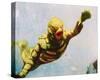 Stretched Canvas Print
