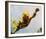 Creature from the Black Lagoon-null-Framed Photo