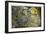 Creatures Appeared Out Of The Dark-Wayne Anderson-Framed Giclee Print