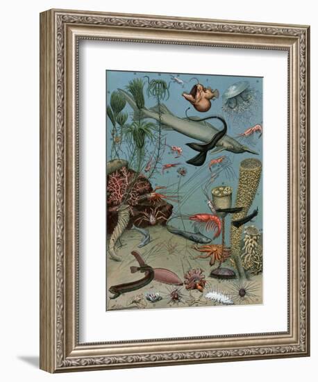 Creatures of the Sea Floor, Including Fish, Starfish, Sea Urchins, Crustaceans, Polyps-null-Framed Giclee Print