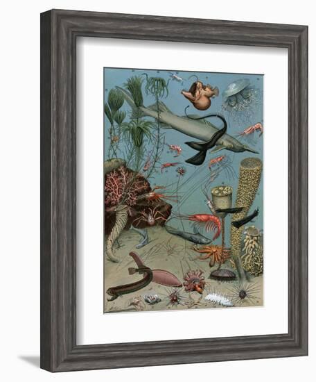 Creatures of the Sea Floor, Including Fish, Starfish, Sea Urchins, Crustaceans, Polyps-null-Framed Giclee Print