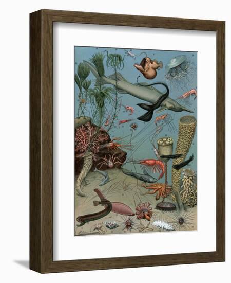 Creatures of the Sea Floor, Including Fish, Starfish, Sea Urchins, Crustaceans, Polyps-null-Framed Giclee Print