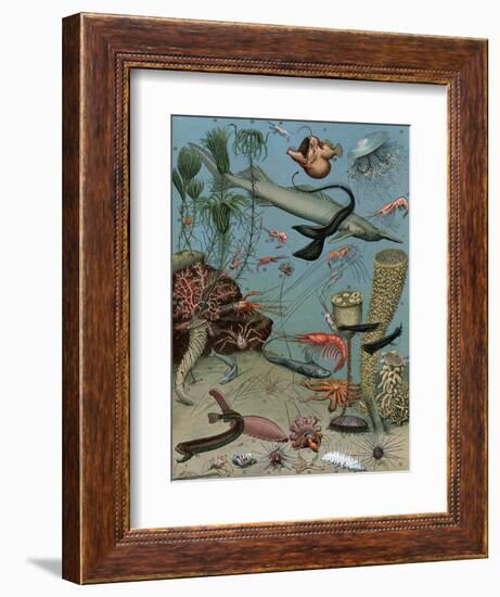 Creatures of the Sea Floor, Including Fish, Starfish, Sea Urchins, Crustaceans, Polyps-null-Framed Giclee Print