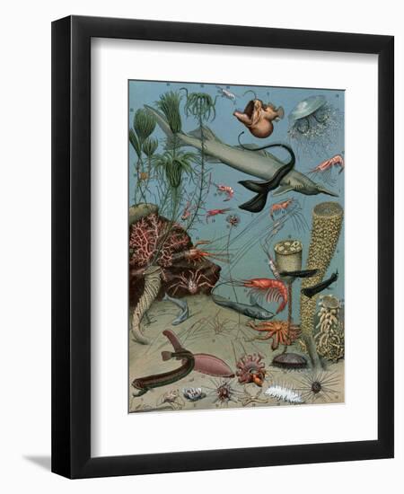 Creatures of the Sea Floor, Including Fish, Starfish, Sea Urchins, Crustaceans, Polyps-null-Framed Giclee Print