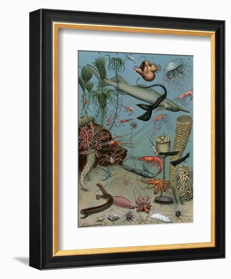 Creatures of the Sea Floor, Including Fish, Starfish, Sea Urchins, Crustaceans, Polyps-null-Framed Giclee Print